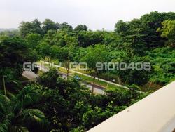 Blk 713 Pasir Ris Street 72 (Pasir Ris), HDB Executive #100059462